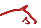 Logo Vetchiropraxis Simone Suter