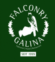 Logo Falknerei Galina