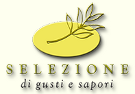 Logo Selezione GmbH