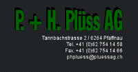 P + H Plüss AG