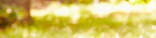 Hilfe f&uuml;r Seniorinnen und Senioren